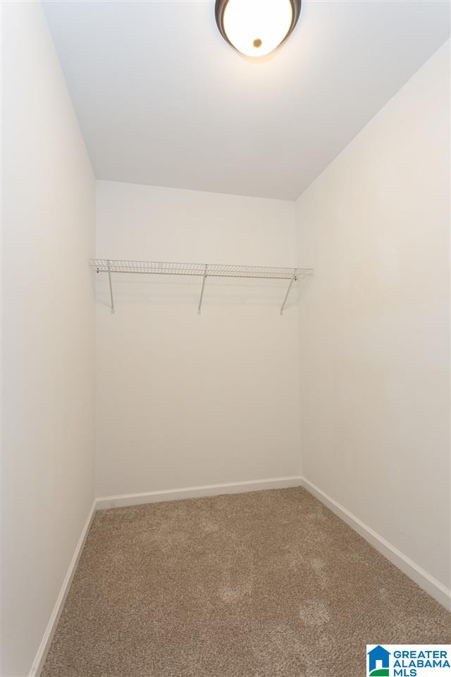 504 Evergreen Drive Springville, AL 35146 - Photo 25 of 38 Gallery Image 25