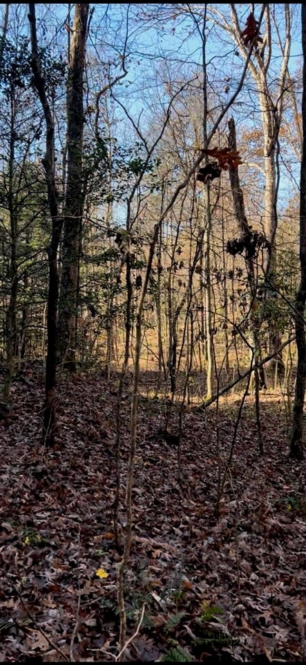 0 Mohawk Road Smiths Grove, KY 42171 - Photo 1 of 1 Gallery Image 1
