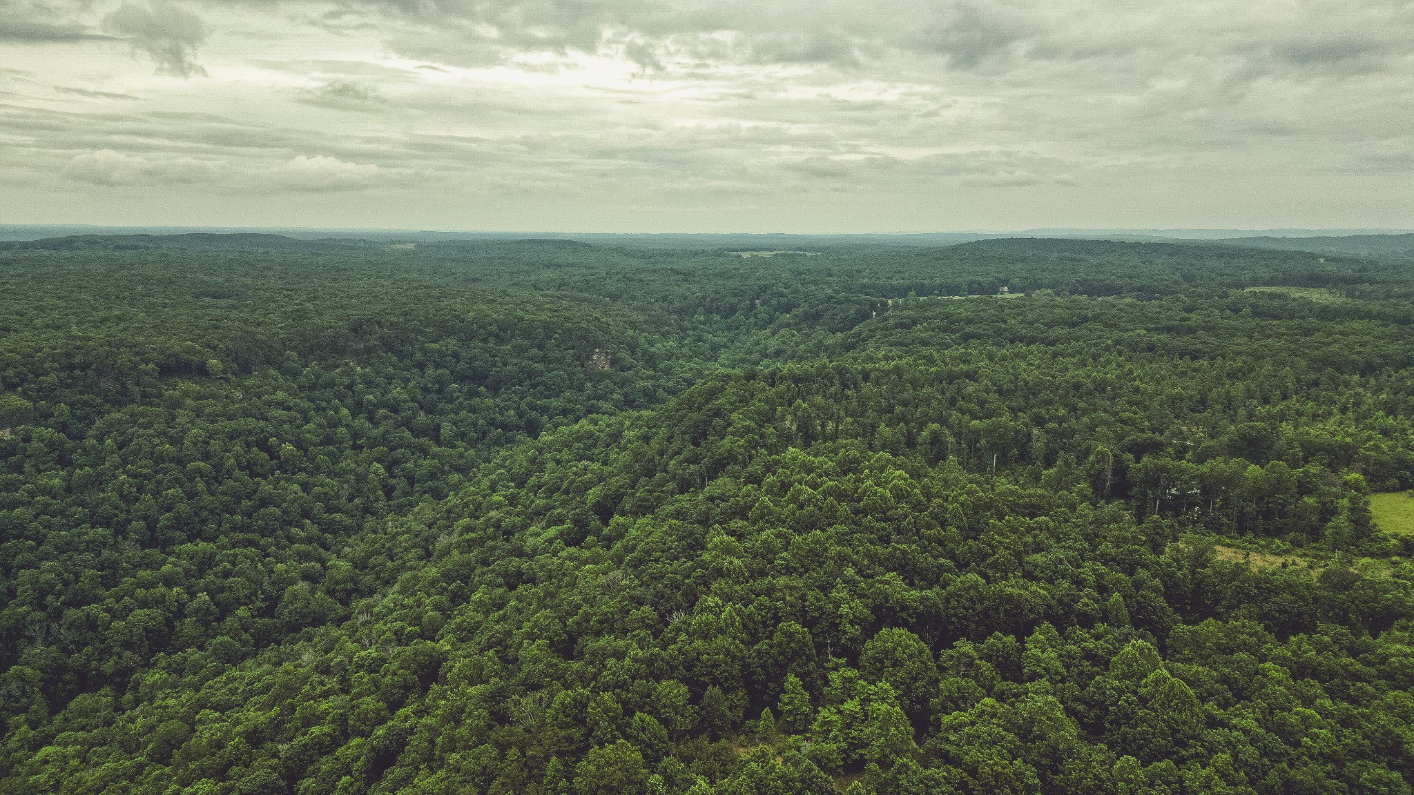 59 Twilight Point Monteagle, TN 37356 - Photo 13 of 18