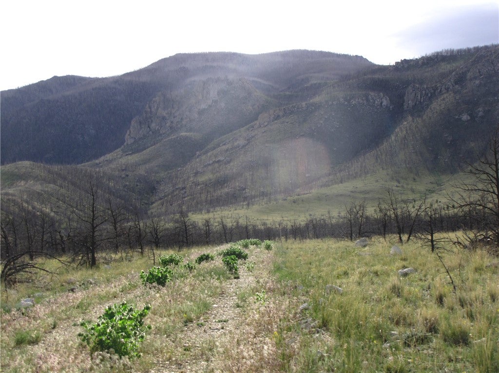 Tbd Tbd Ranger Way Red Lodge, MT 59068 - Photo 20 of 37 Gallery Image 20