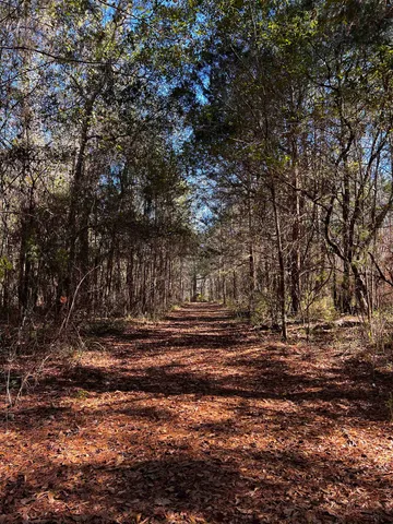 $312,000 | X Hosford Highway, Quincy, FL 32351