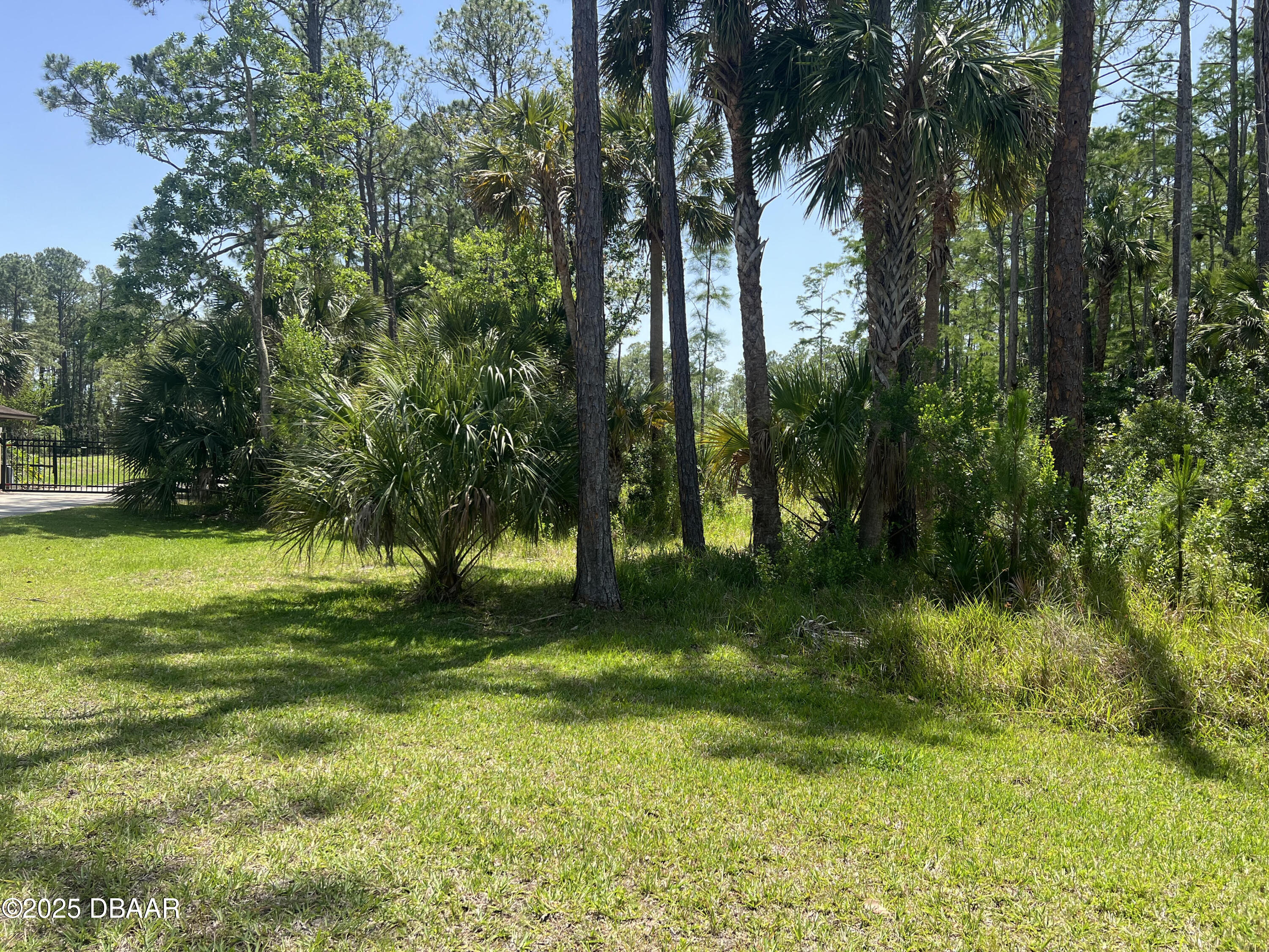 3 Remington Road Ormond Beach, FL 32174 - Photo 1 of 18 a view of a trees in a yard