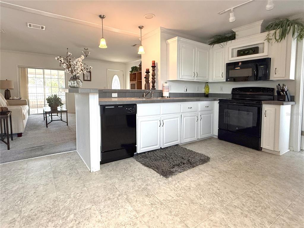 101 St Johns Way West Apollo Beach, FL 33572 - Photo 4 of 24 a kitchen with kitchen island granite countertop a stove top oven a sink dishwasher a dining table and chairs