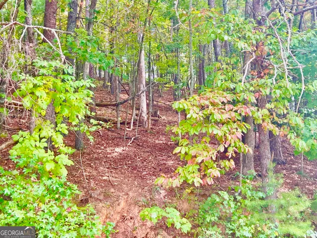 a picture of flowers