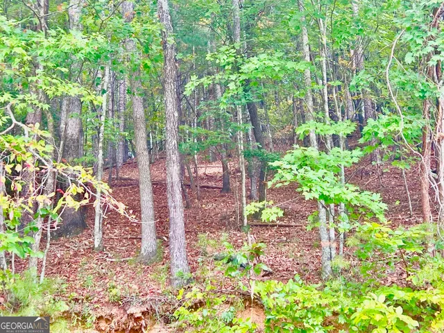a backyard of a house with lots of green space and trees all around