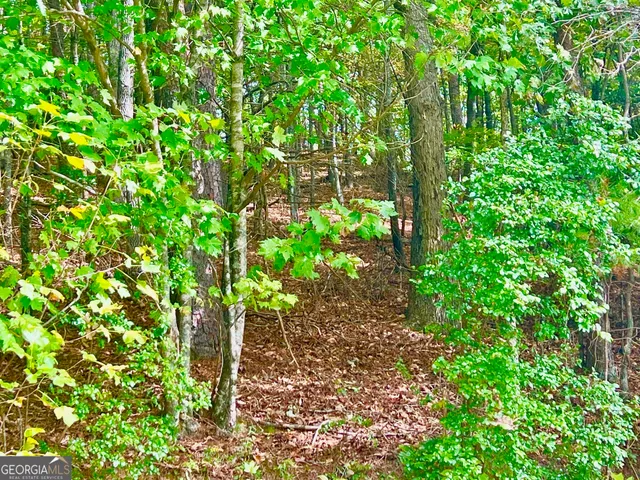 a backyard of a house with lots of swings and green space