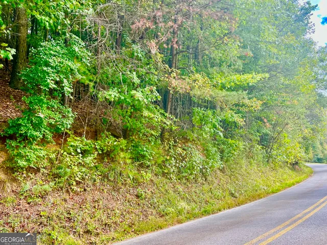 a view of a garden with plants