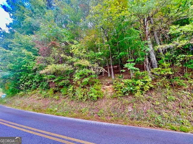 a view of a garden with plants