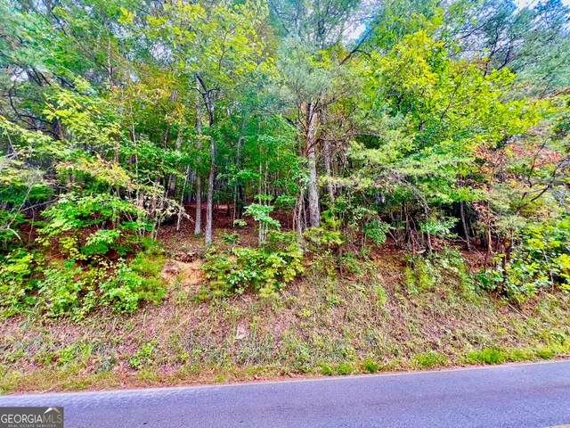 a view of a street with potted plants