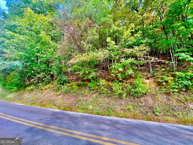 a view of a garden from a window