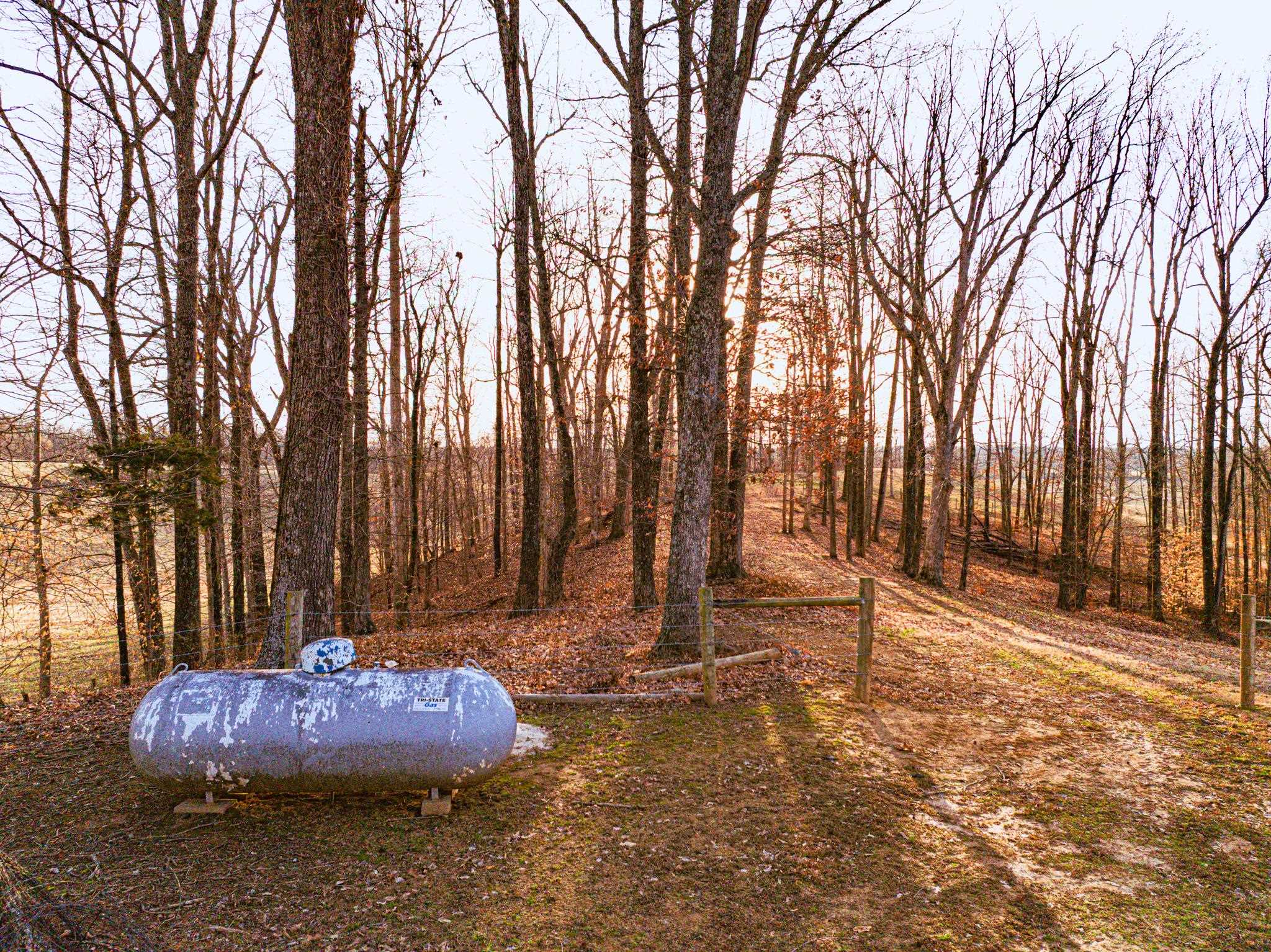 5030 Rogers Marshall Road Union City, TN 38261 - Photo 37 of 40 a backyard of apartments with large trees