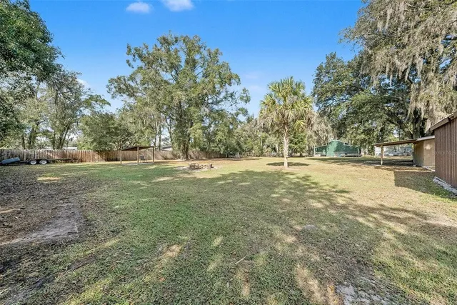 a view of a park with large trees