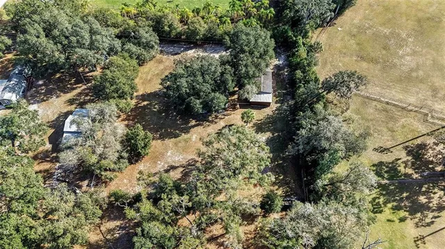 a aerial view of a house with a yard and large trees all around