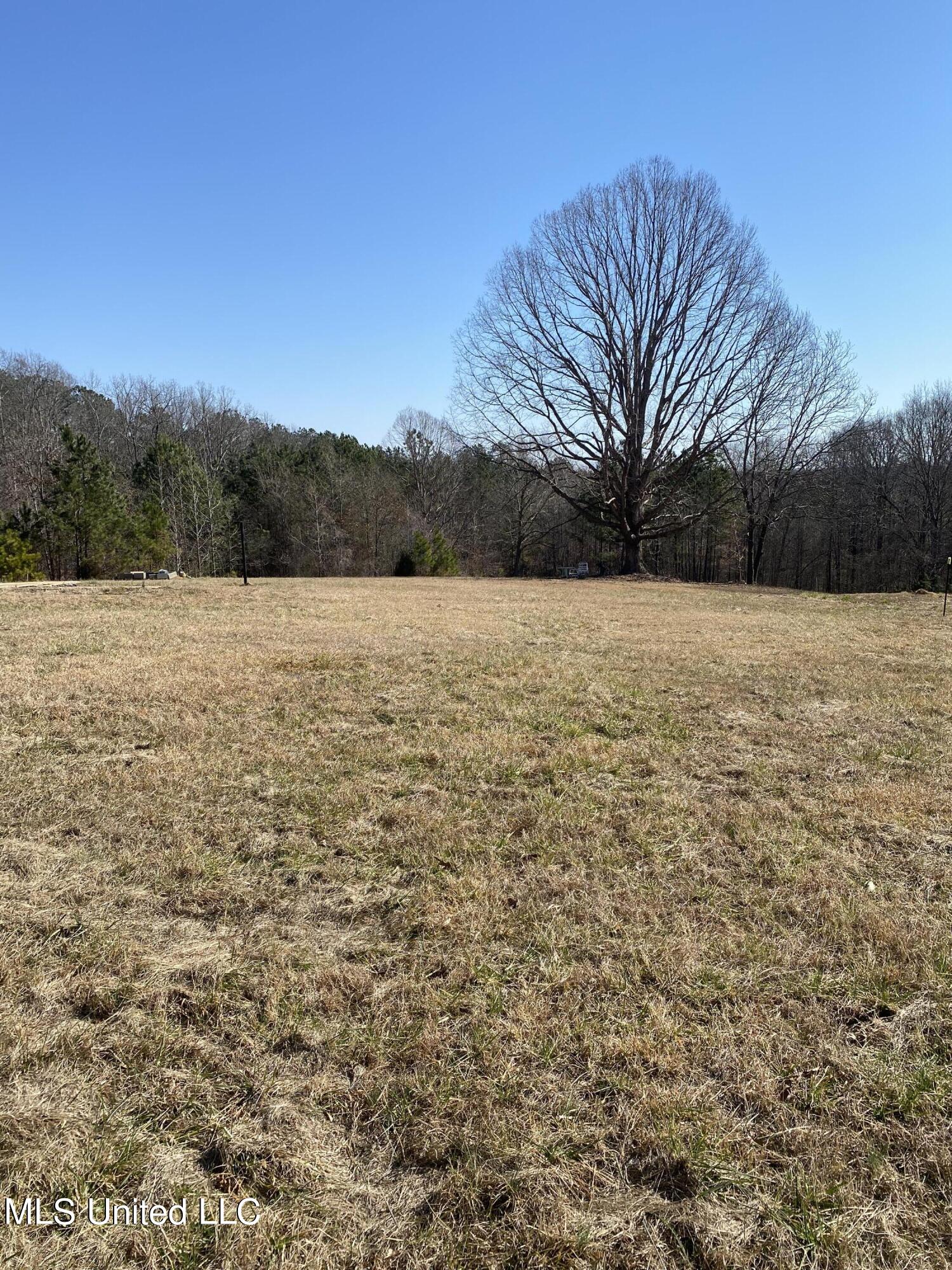 No Arwood Road Lamar, MS 38642 - Photo 1 of 17 IMG_3575