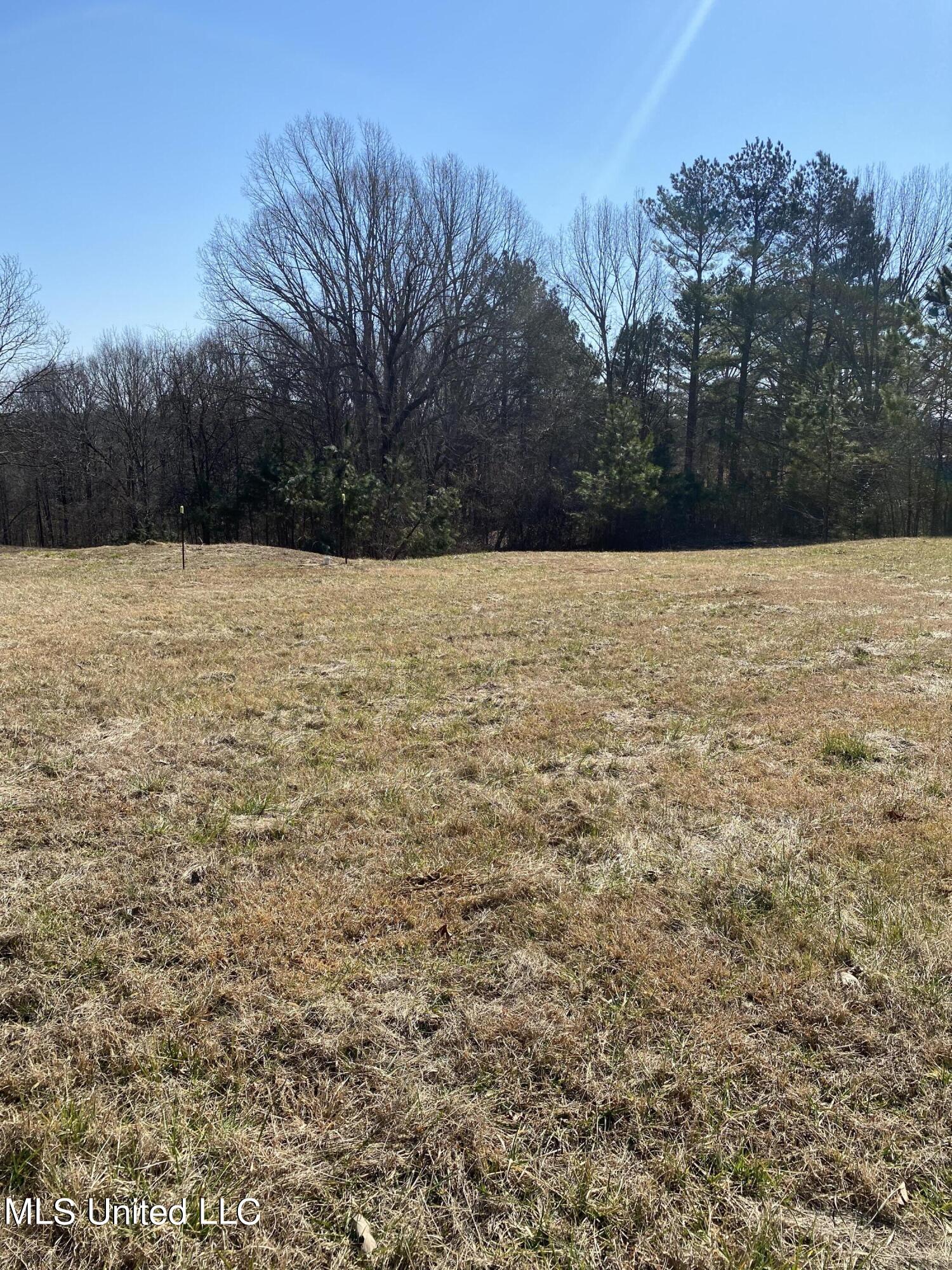 No Arwood Road Lamar, MS 38642 - Photo 5 of 17 IMG_3577