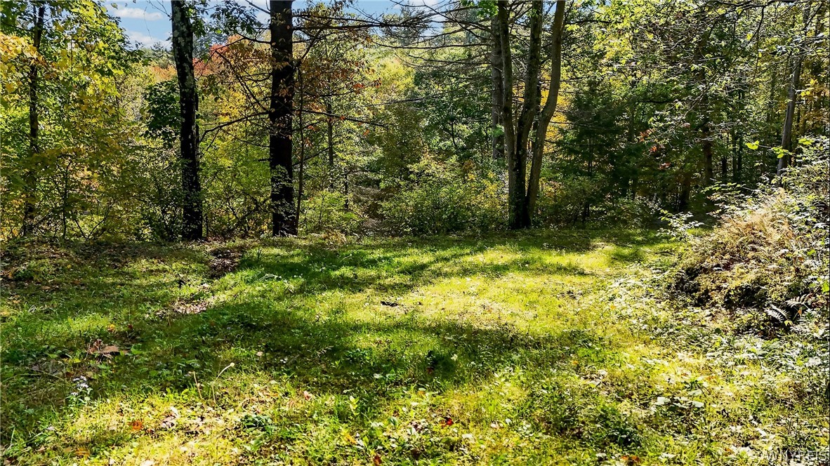 2153 Mulholland Road Erwin, NY 14870 - Photo 26 of 40 Gallery Image 26