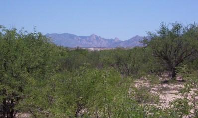 0 South Curtis Flats Road St. David, AZ 85630 - Photo 2 of 2
