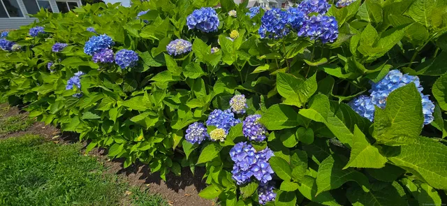 $3,500 | 24 West Shore Drive, Old Saybrook, CT 06475