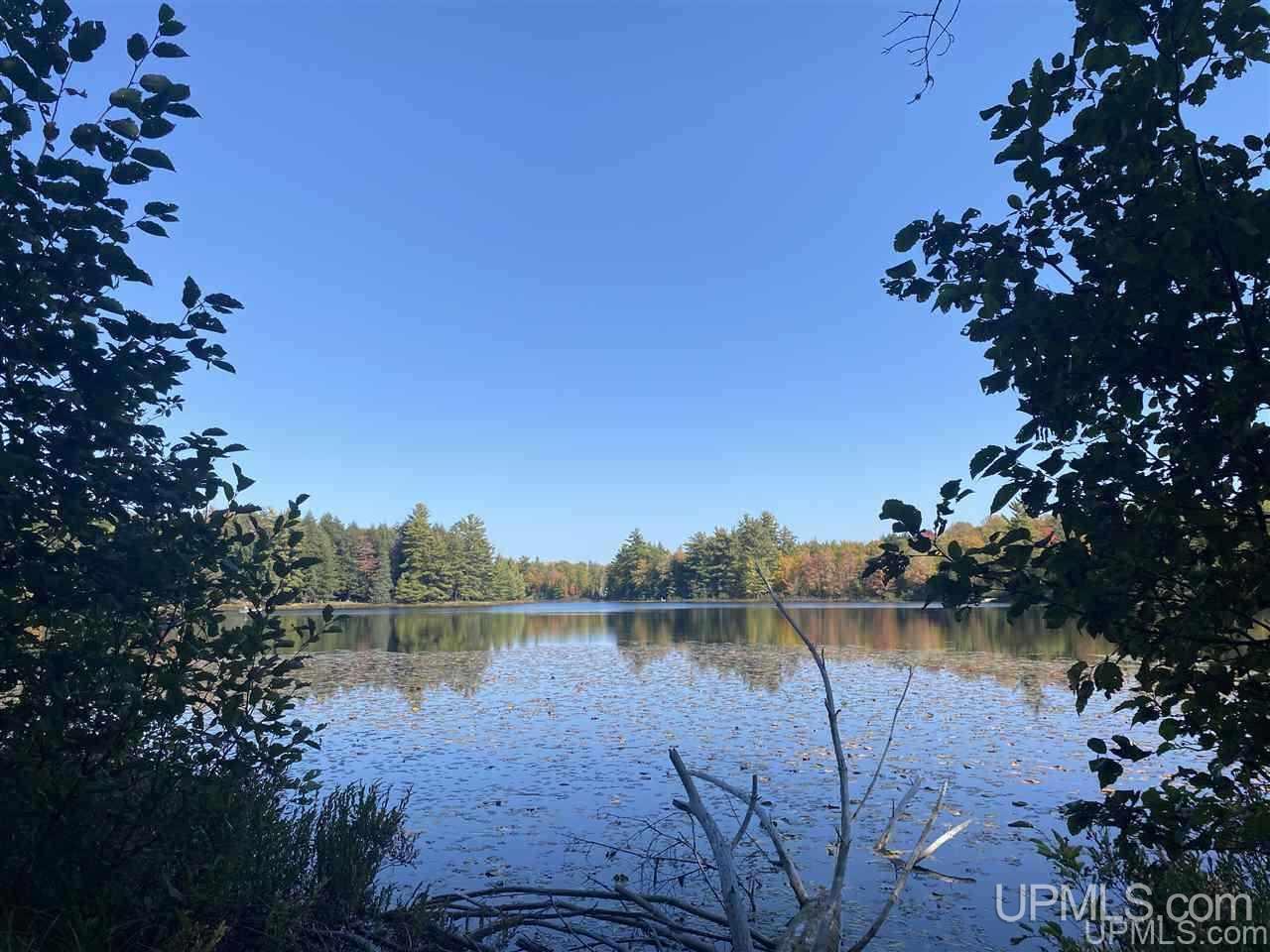 Tbd Tbd Grace Lake Road Watersmeet, MI 49969 - Photo 10 of 16