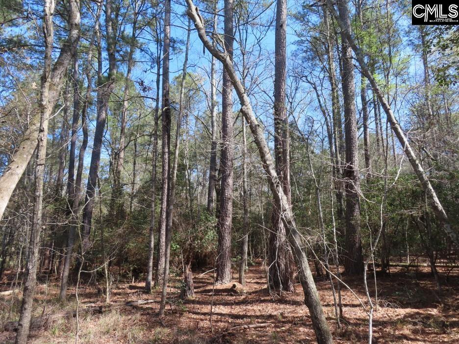 1672 Dixired Road Leesville, SC 29070 - Photo 28 of 67