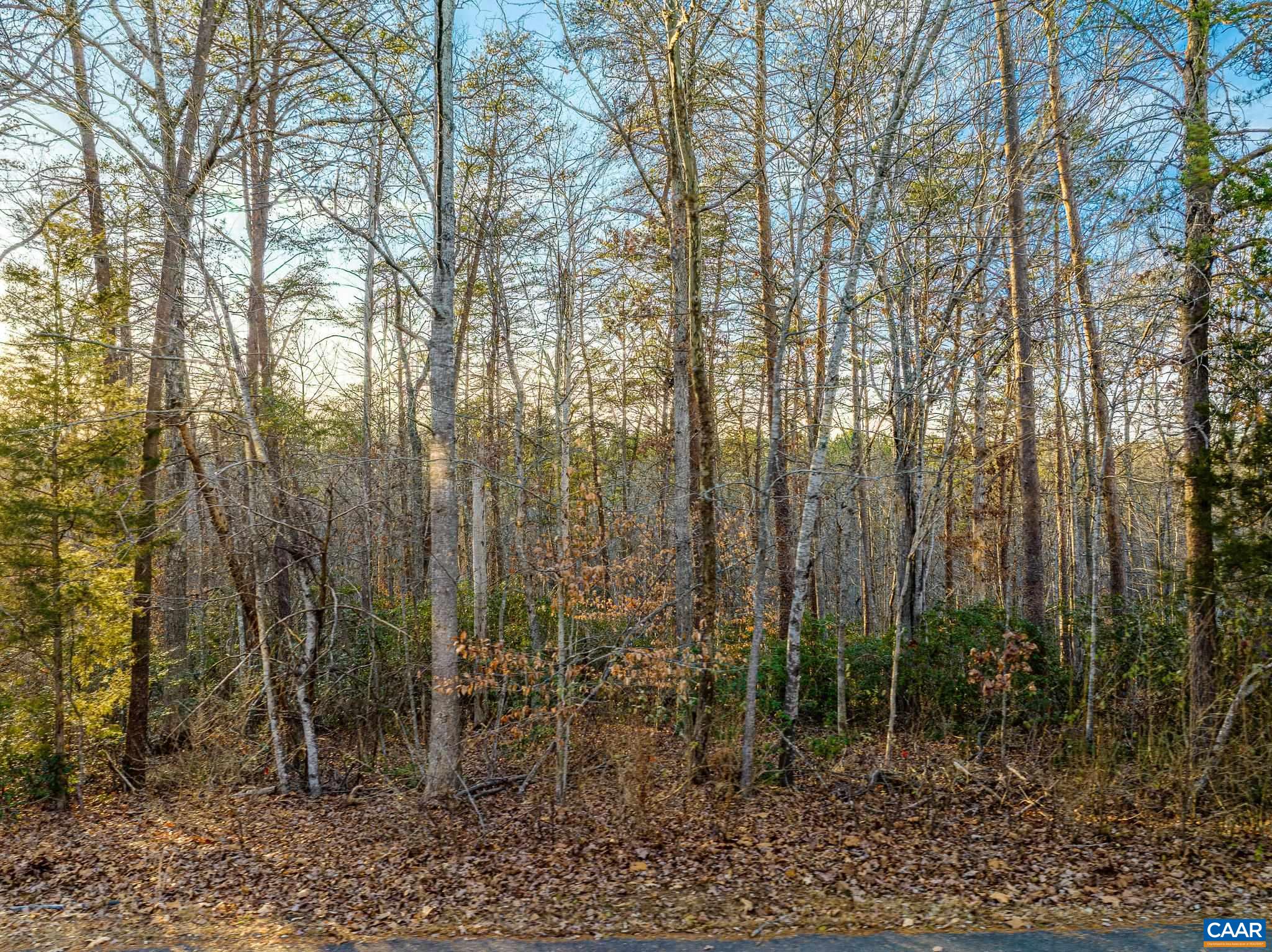 0 Hopi Way Charlottesville, VA 22902 - Photo 3 of 10