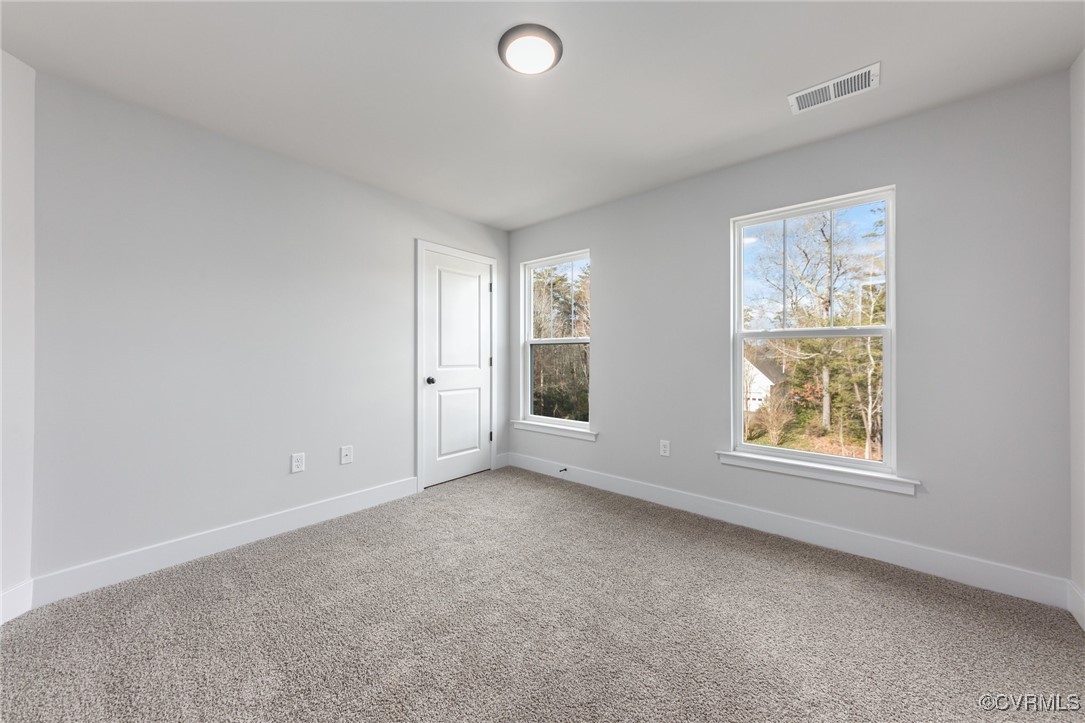 4801 Partlow Road Partlow, VA 22534 - Photo 20 of 30 Empty room featuring light carpet and a wealth of