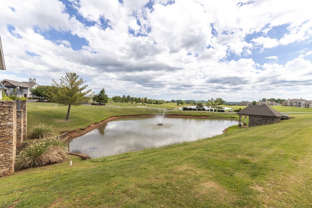 555 Rarity Bay Parkway Vonore, TN 37885 - Photo 41 of 43