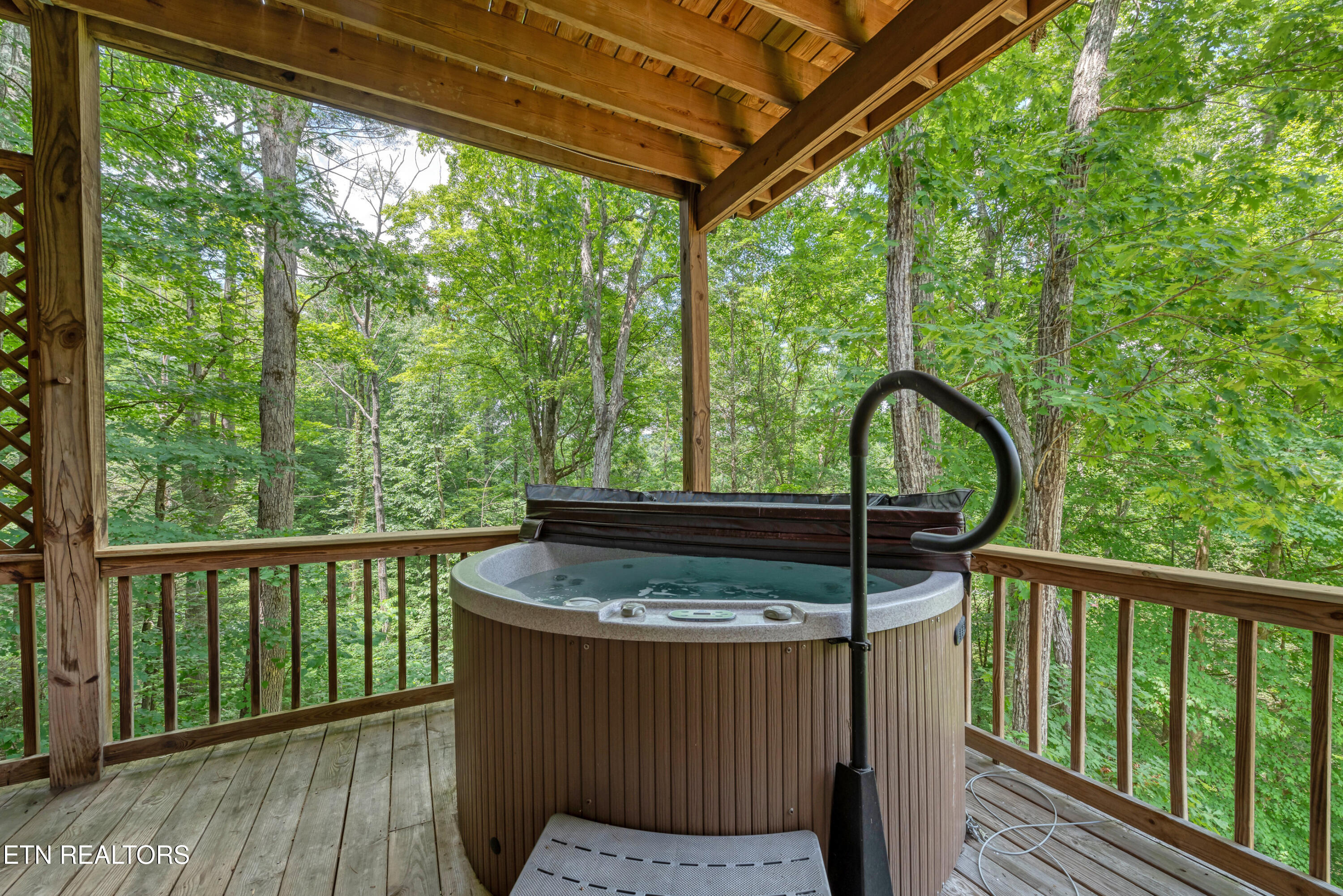 374 Laurel Road Townsend, TN 37882 - Photo 39 of 56 DSC_0075