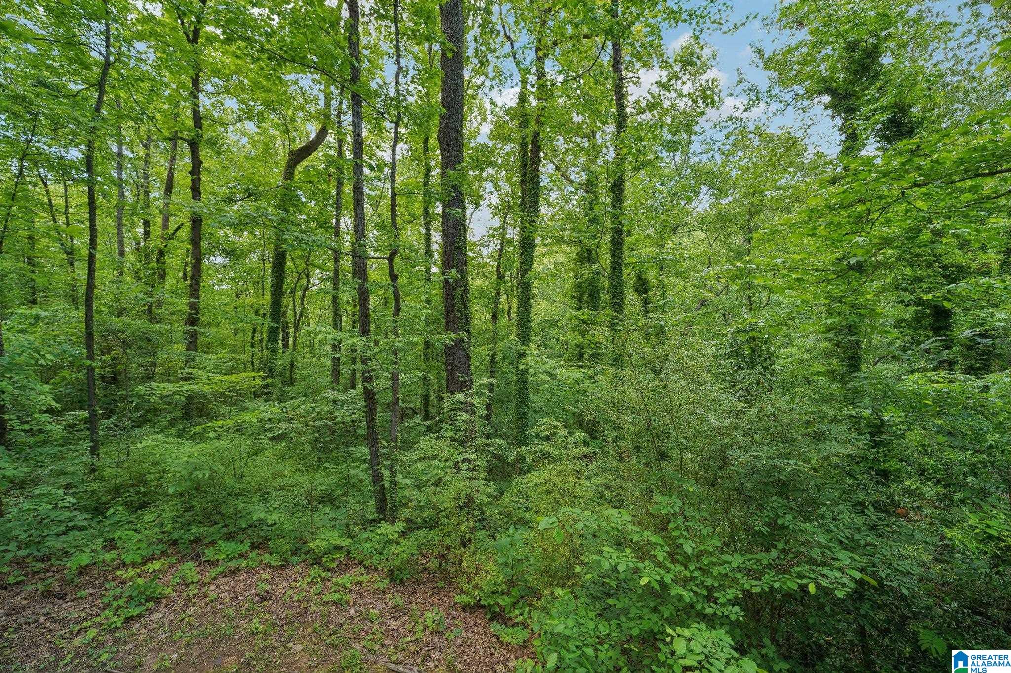 711 Oak Ridge Drive Birmingham, AL 35214 - Photo 24 of 27