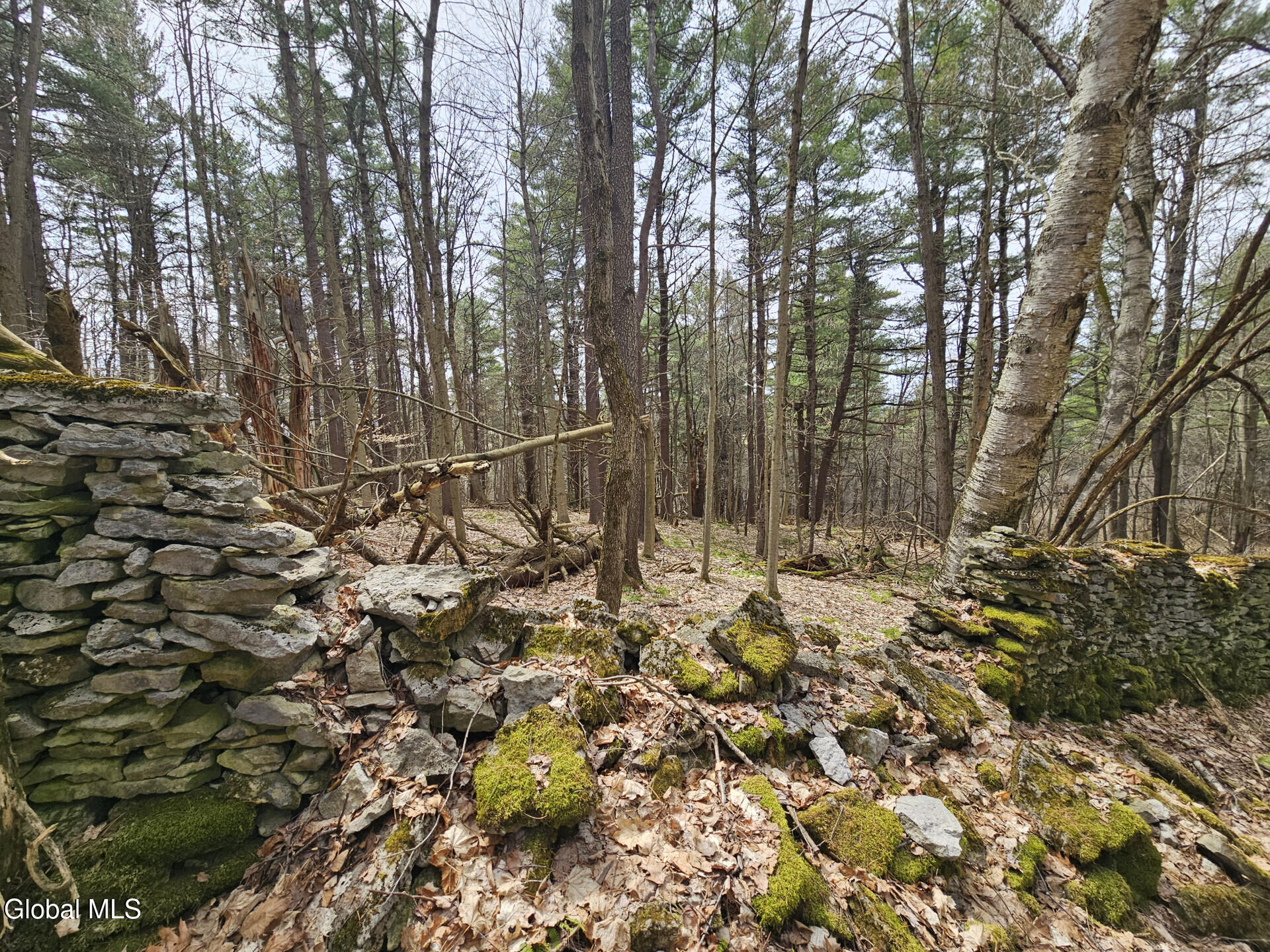 290 Griggs Road Springfield, NY 13468 - Photo 54 of 59 290GriggsRd_68576_55