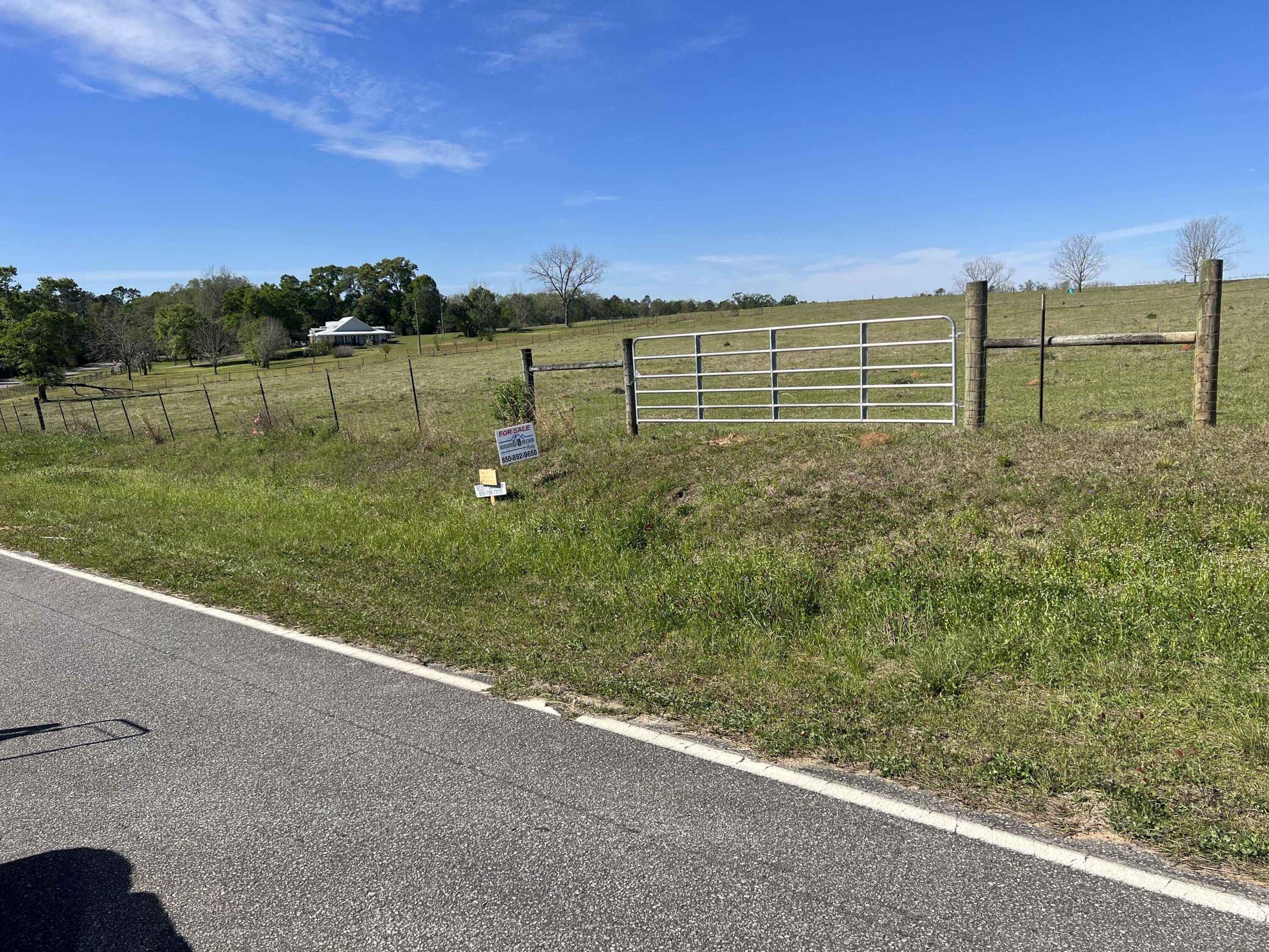 Xxx Pen Williams Road DeFuniak Springs, FL 32433 - Photo 7 of 9 20 acres street view from North