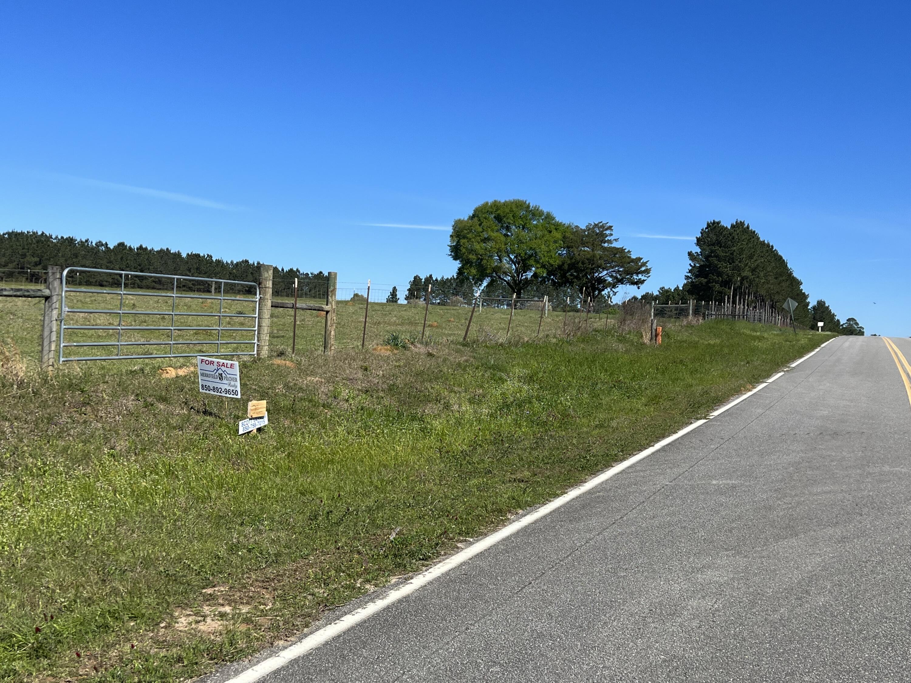 Xxx Pen Williams Road DeFuniak Springs, FL 32433 - Photo 8 of 9 20 acres street view from South