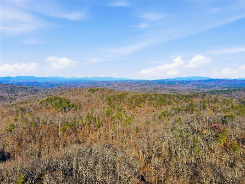 1176 Jewel Court Northeast Ranger, GA 30734 - Photo 2 of 53