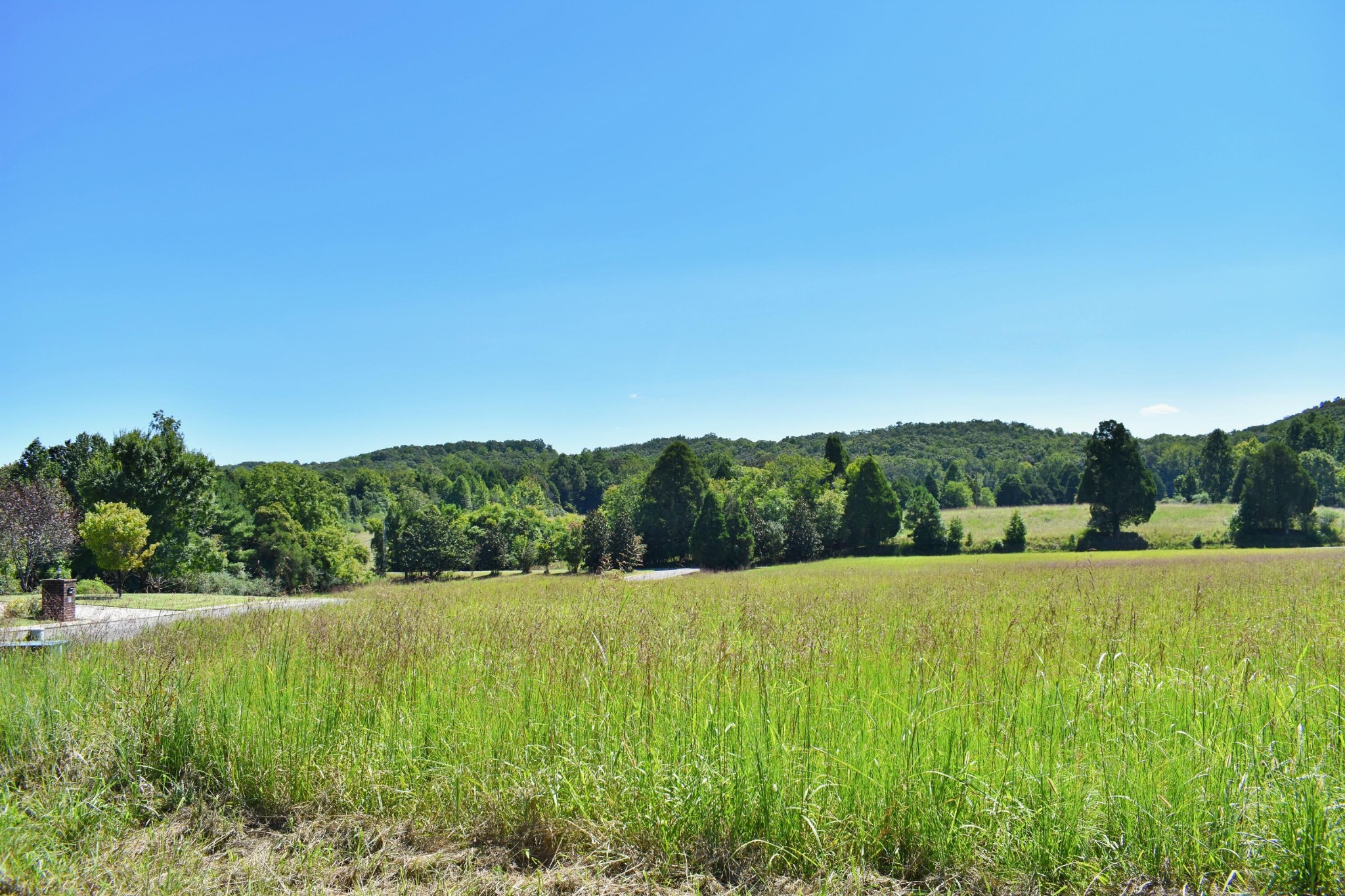 35 Spring Cove Lane Spring City, TN 37381 - Photo 9 of 23
