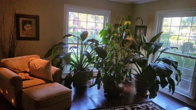 $2,750 | 3328 Southmore Boulevard, Houston, TX 77004