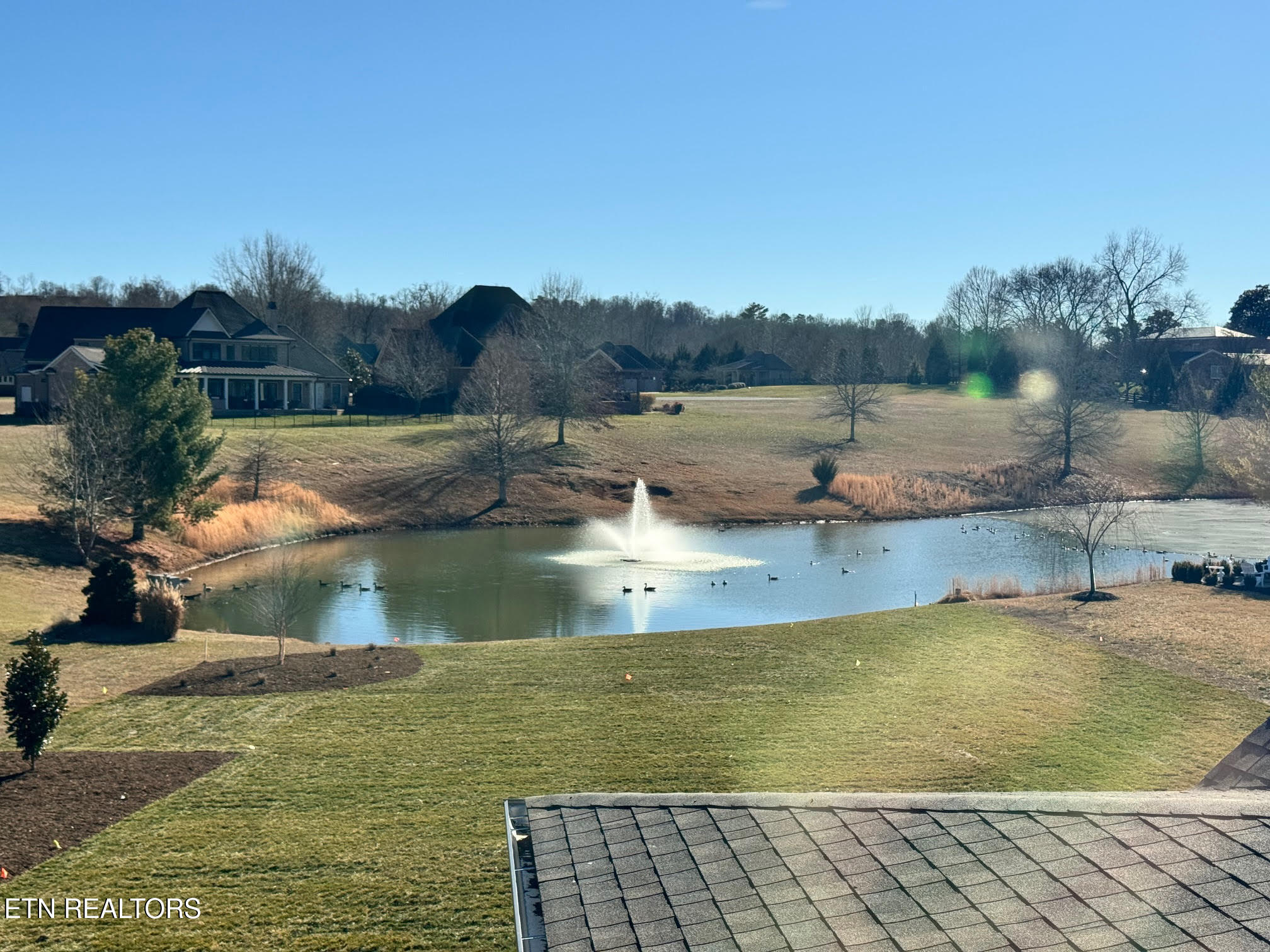 3741 Edgewater Way Louisville, TN 37777 - Photo 48 of 58 Neighborhood pond in rear