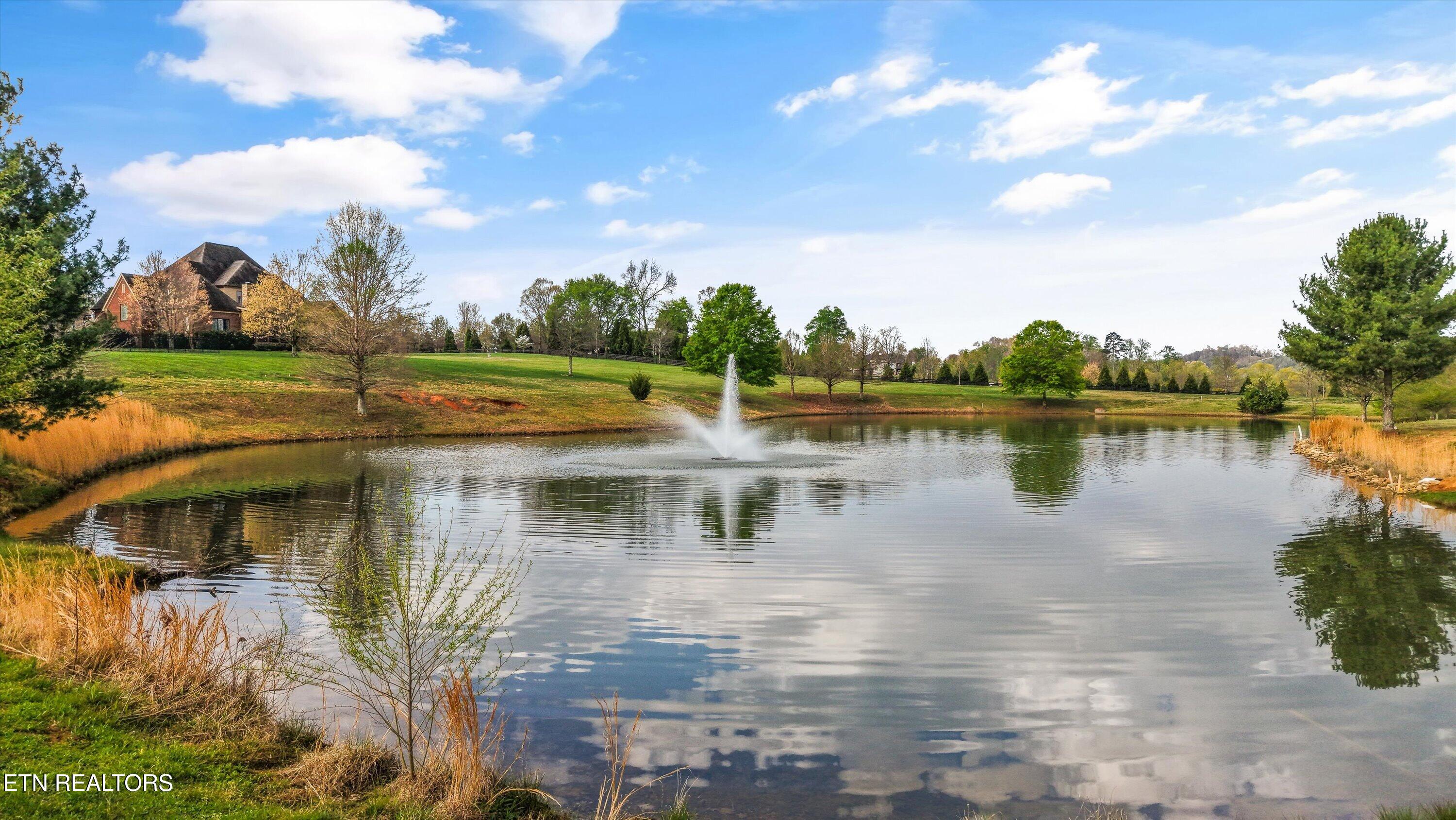 3741 Edgewater Way Louisville, TN 37777 - Photo 52 of 58 Pond on rear lot line