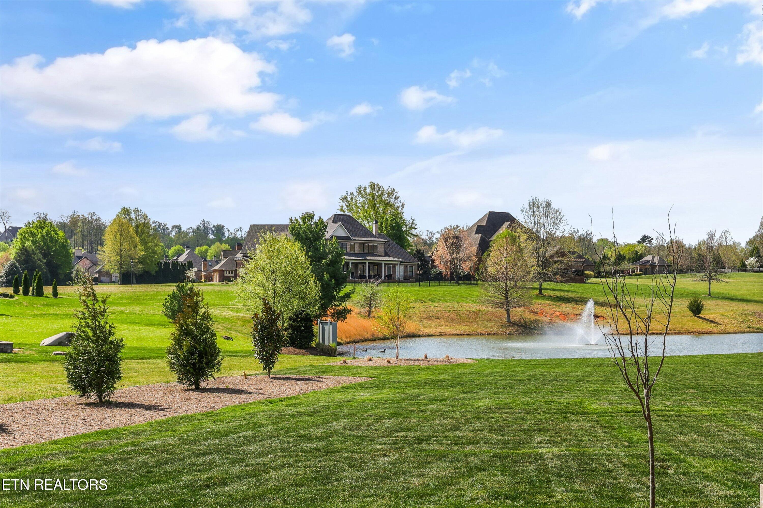 3741 Edgewater Way Louisville, TN 37777 - Photo 57 of 58 Rear yard