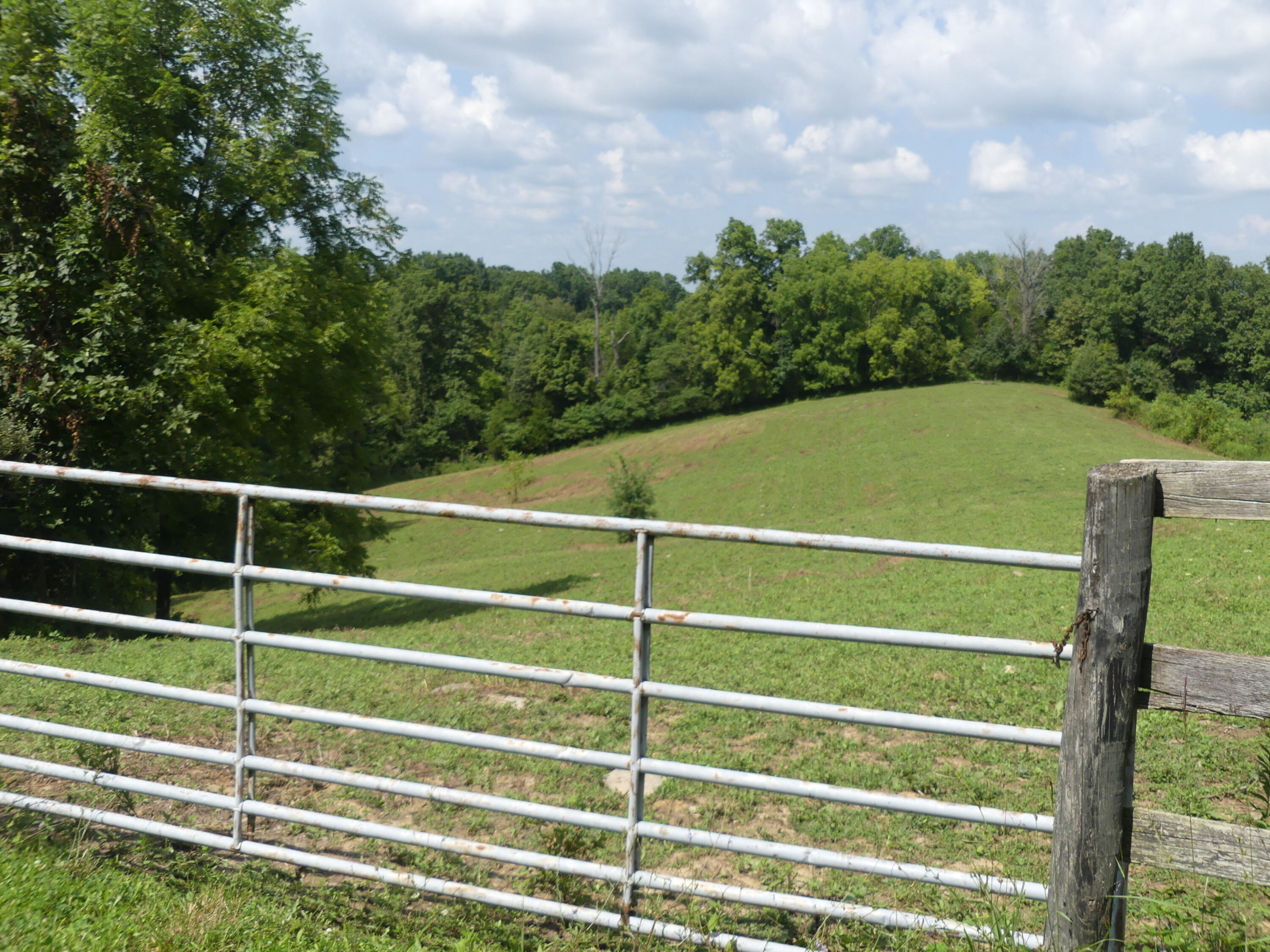 1040 Delaney Road Lawrenceburg, KY 40342 - Photo 6 of 55 P1020032