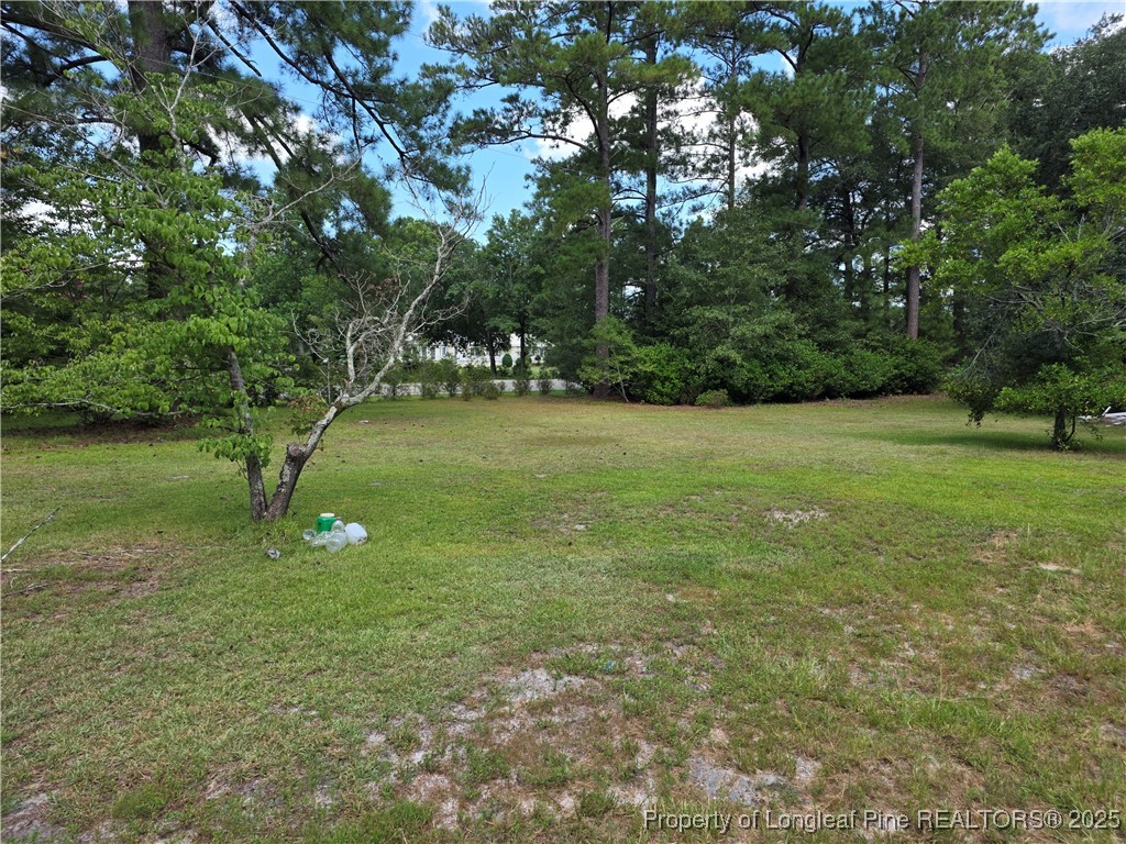 6405 Cedar Creek Road Fayetteville, NC 28312 - Photo 4 of 6 a view of a field with a tree