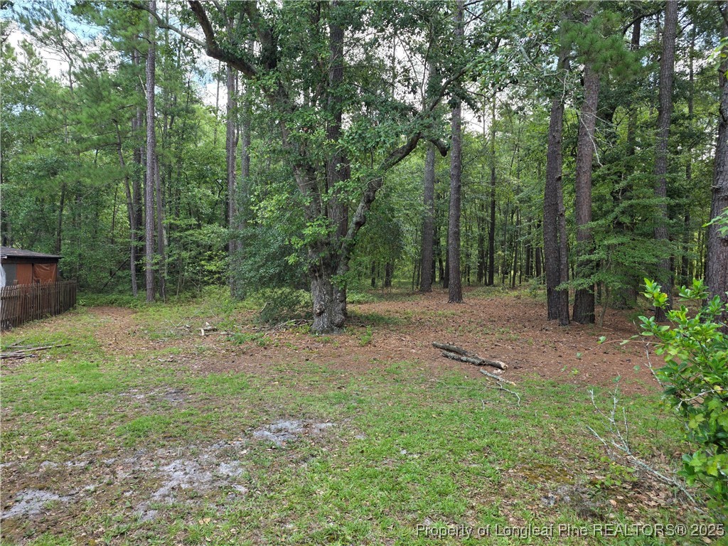 6405 Cedar Creek Road Fayetteville, NC 28312 - Photo 6 of 6 a view of a forest with trees in the background
