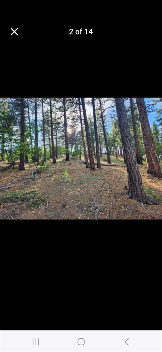 0 Cheney Creek Road Susanville, CA 96130 - Photo 9 of 18 a view of a yard from a balcony