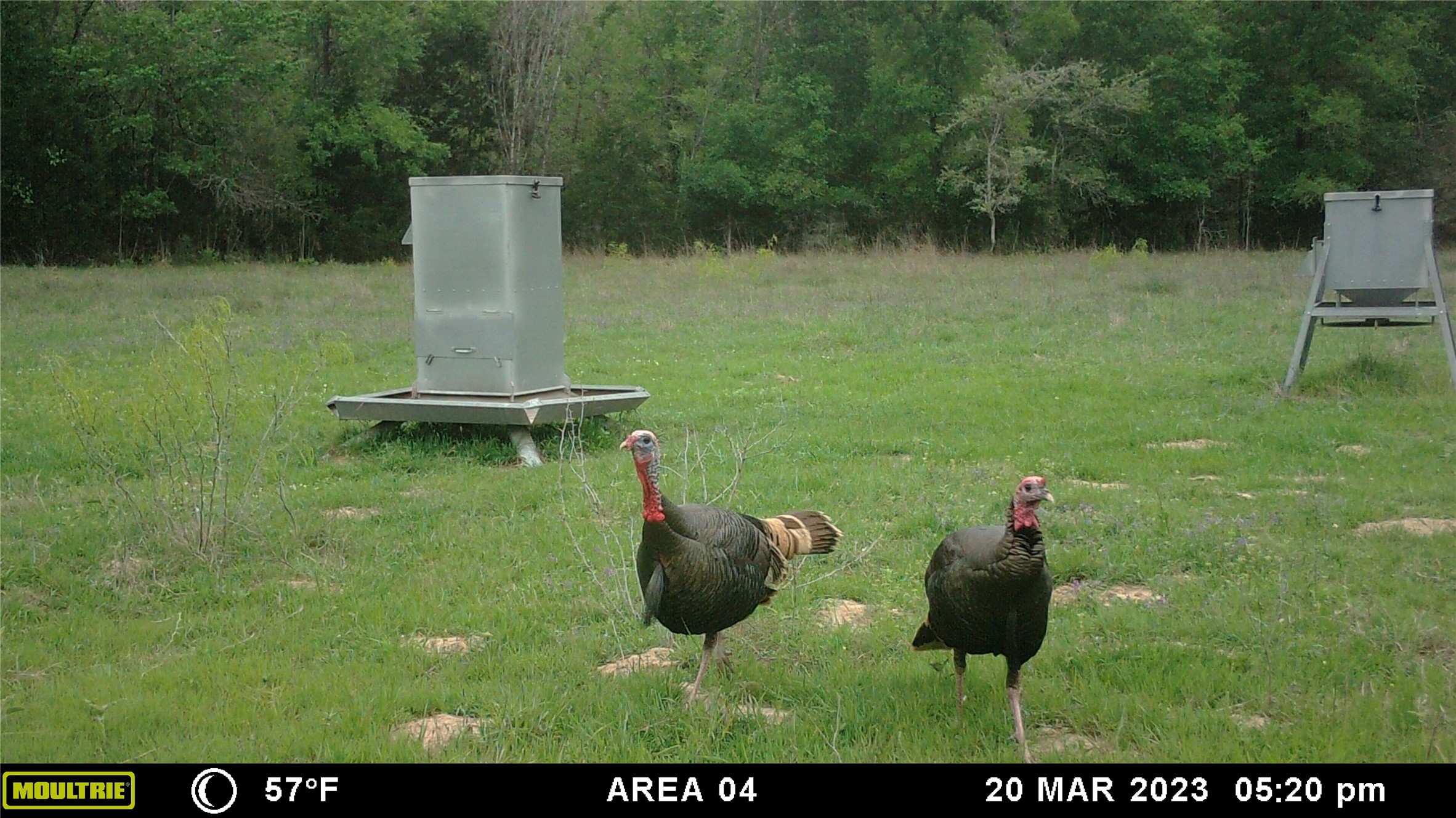 0 Boehnke Road Victoria, TX 77904 - Photo 7 of 17