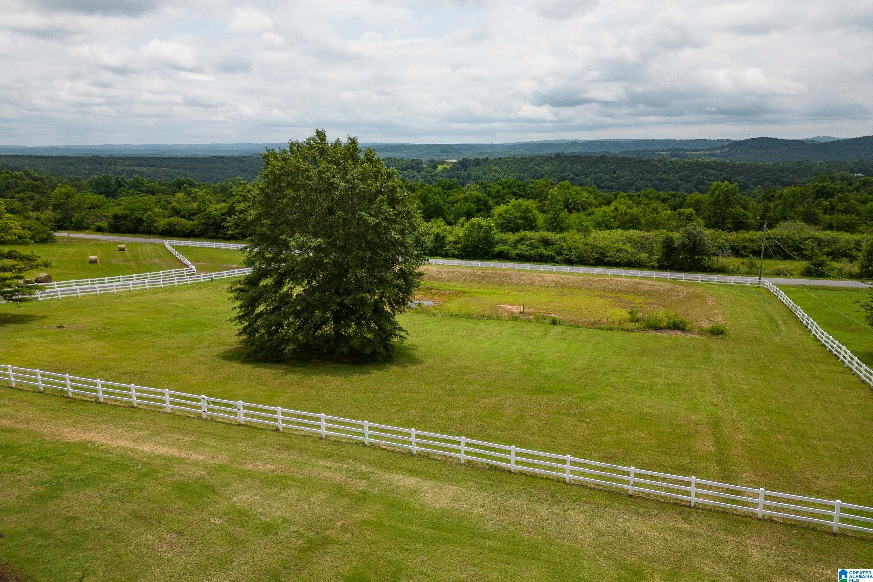 925 Hamilton Mountain Road Blountsville, AL 35031 - Photo 67 of 72