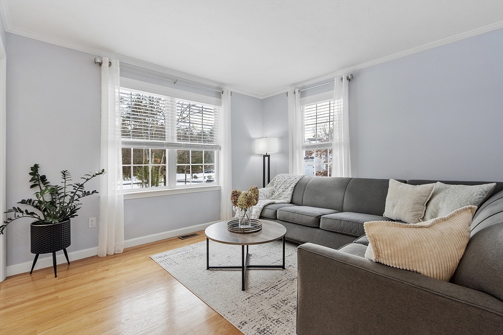 2 Gabes Place Lunenburg, MA 01462 - Photo 23 of 41 a living room with furniture and a potted plant