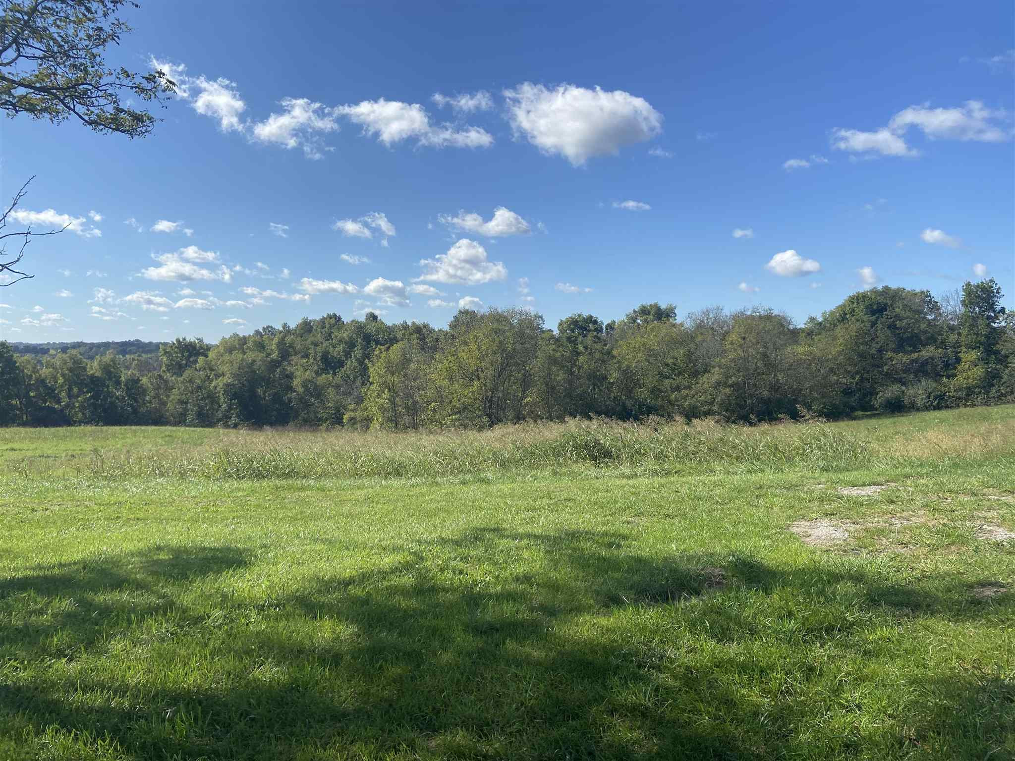 1650 Stewart Ridge Road Sparta, KY 41086 - Photo 3 of 10