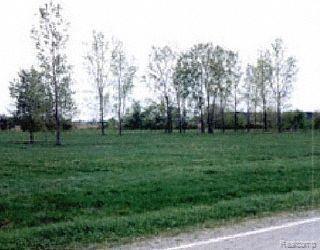 0 Applegate & Burr Applegate, MI 48401 - Photo 1 of 1 Property Photo