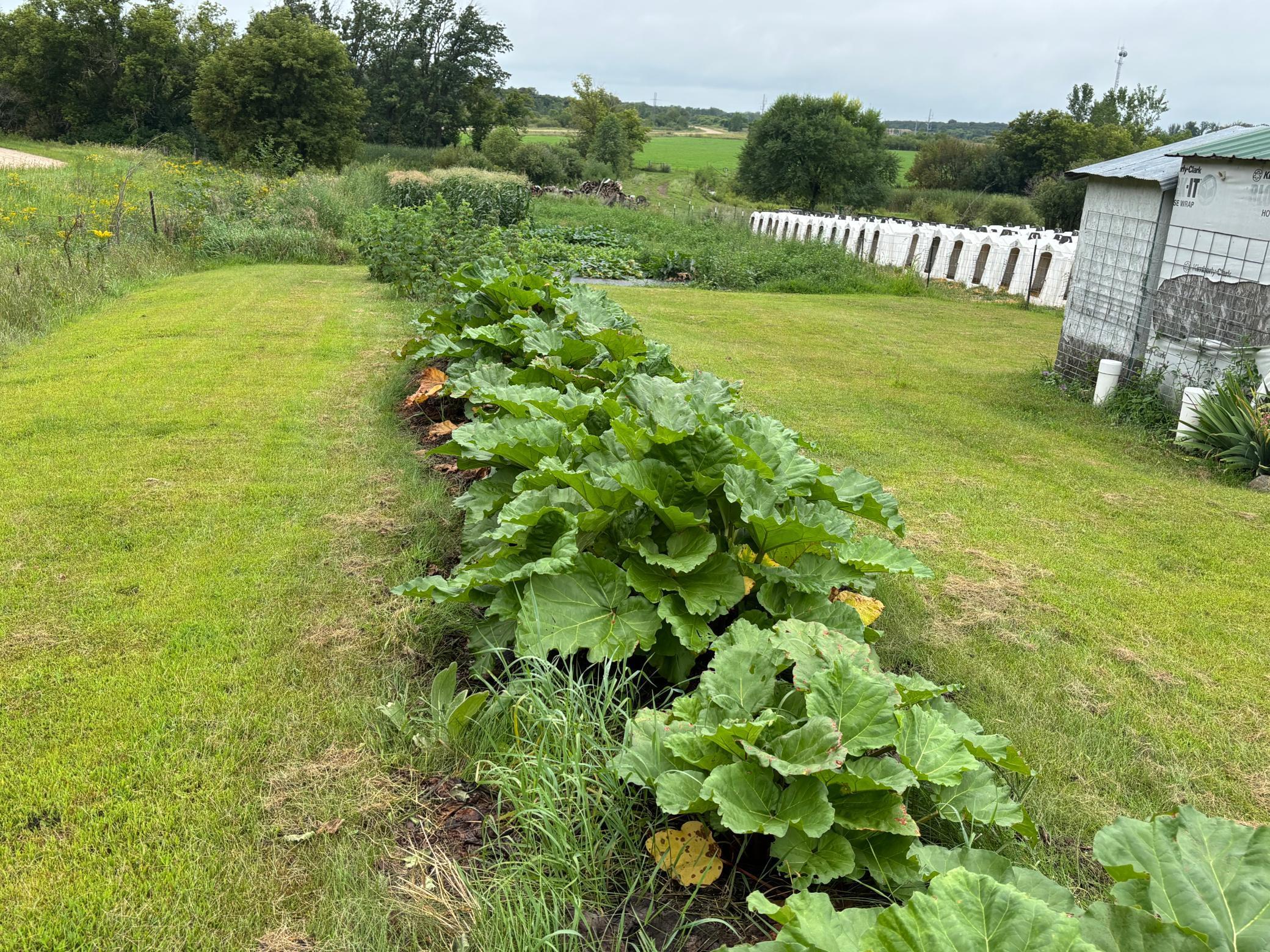 18398 360th Street Eagle Bend, MN 56446 - Photo 18 of 59