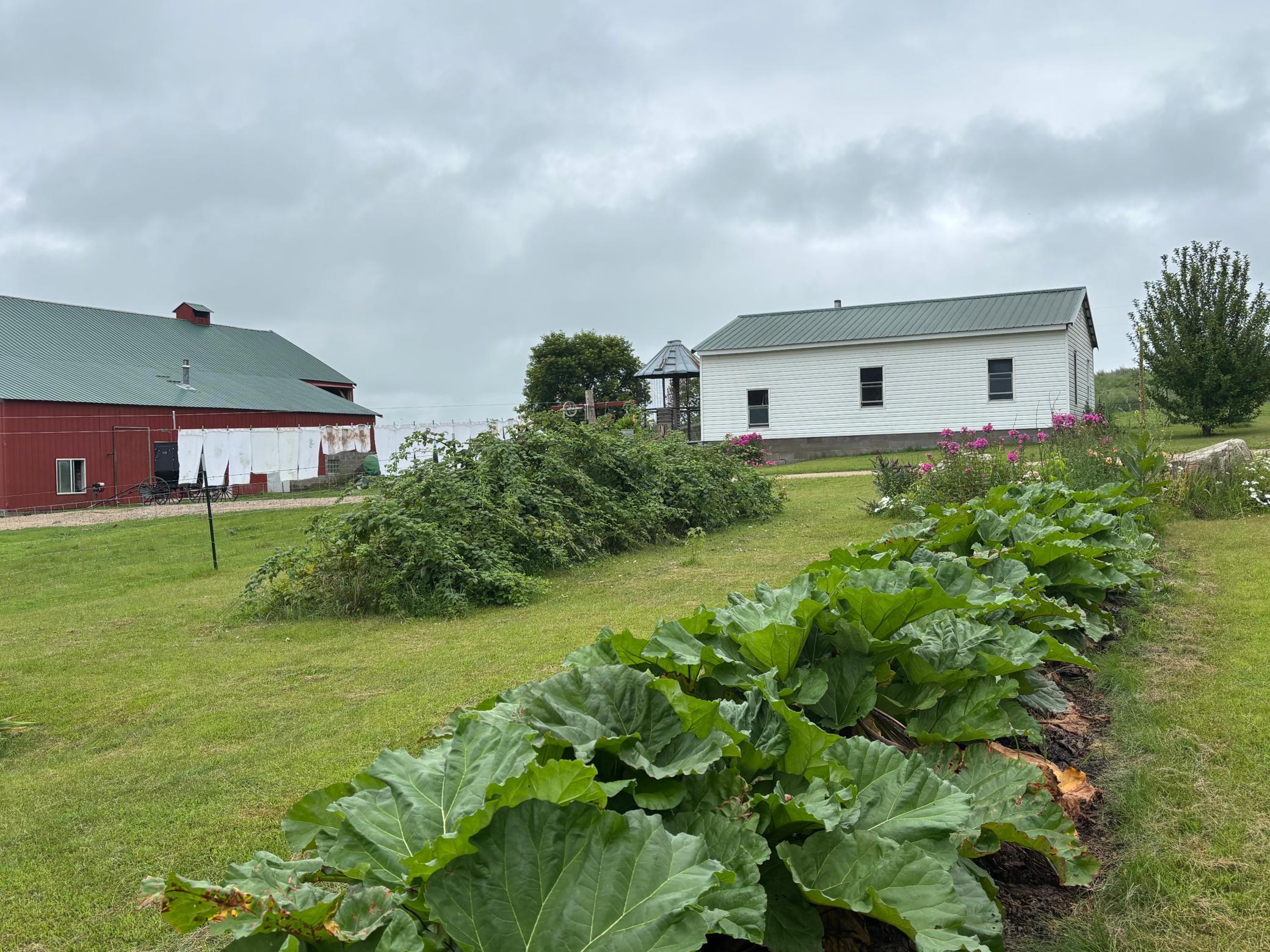 18398 360th Street Eagle Bend, MN 56446 - Photo 19 of 59