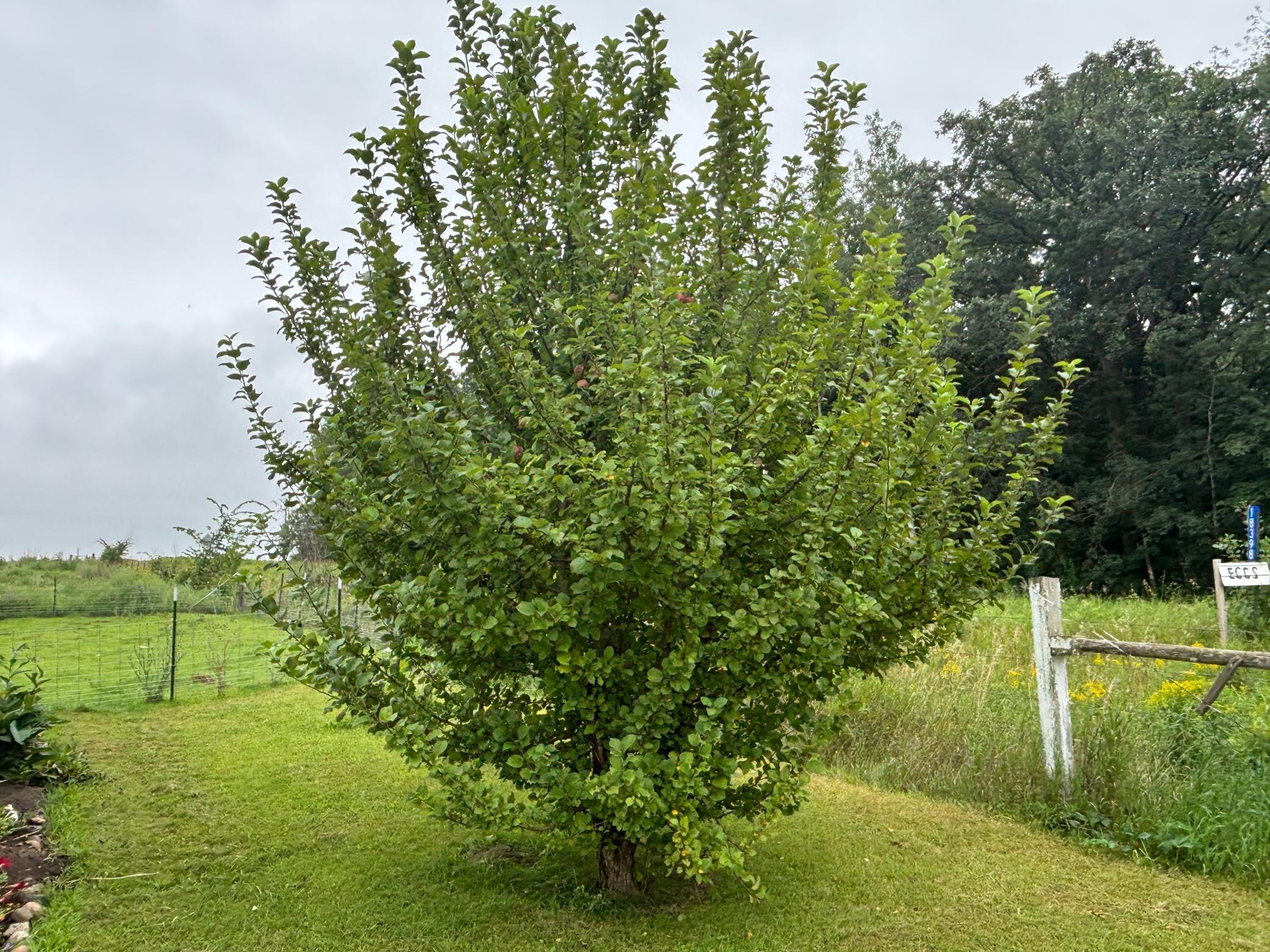 18398 360th Street Eagle Bend, MN 56446 - Photo 24 of 59